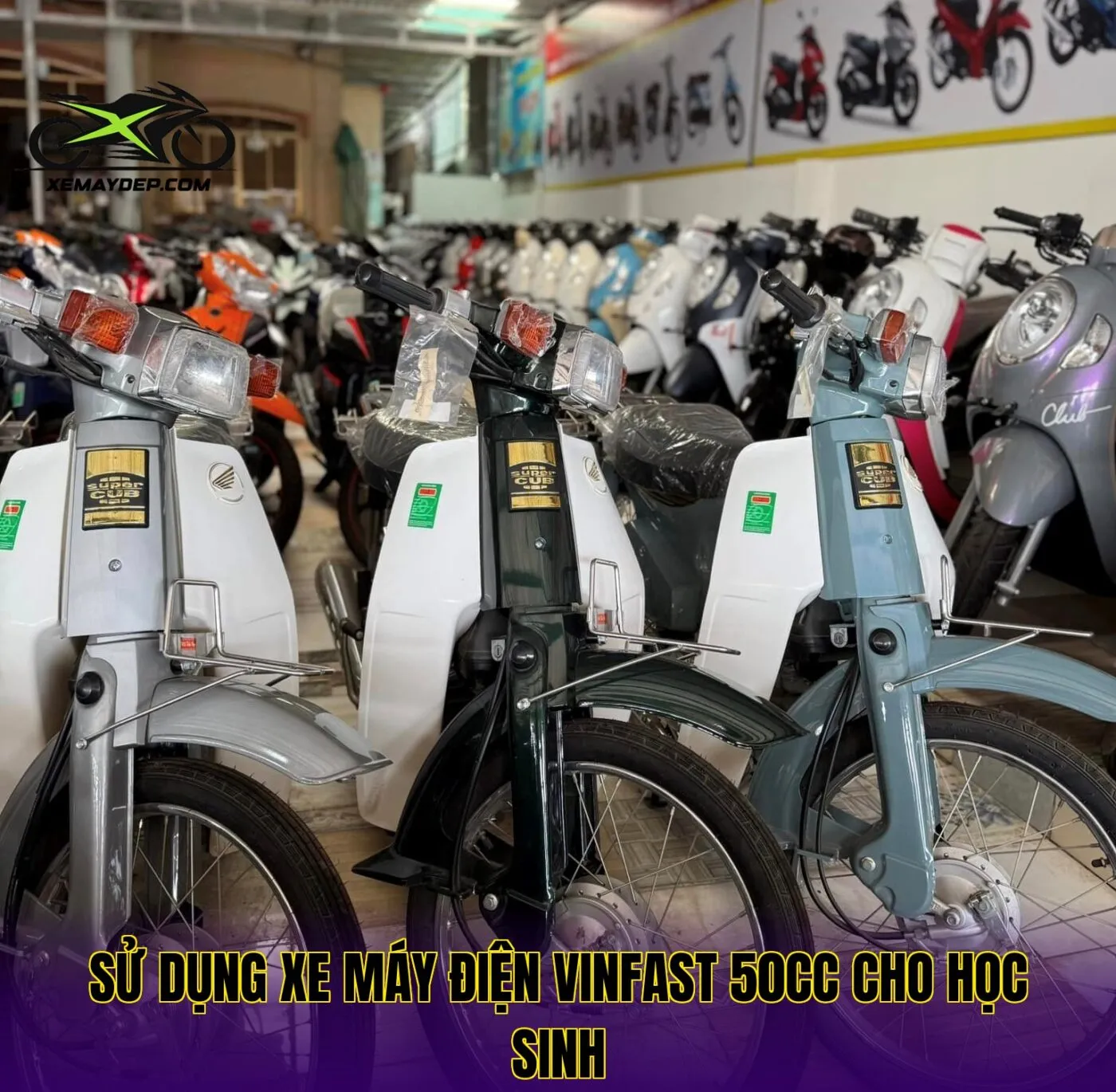sử dụng xe máy điện VinFast 50cc cho học sinh