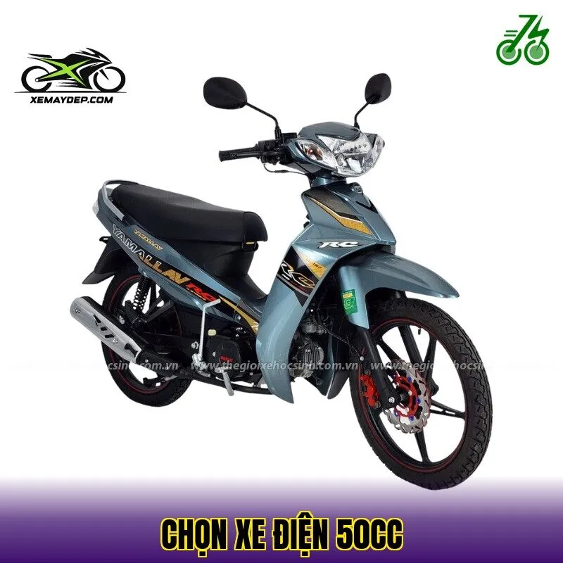 chọn xe điện 50cc