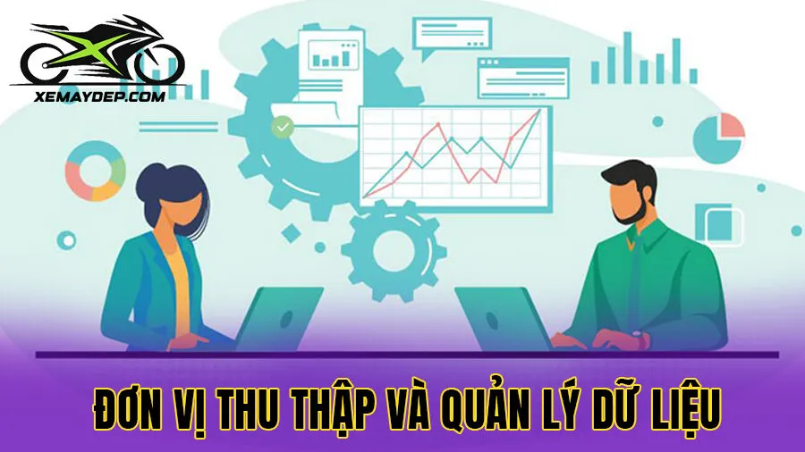 Đơn vị thu thập và quản lý dữ liệu